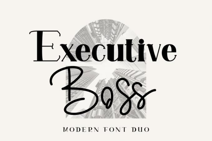 Executive Boss Font Free Download OTF TTF | DLFreeFont