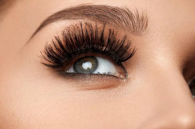 Everything You Need to Know about Professional Eyelash Extension Tweezers