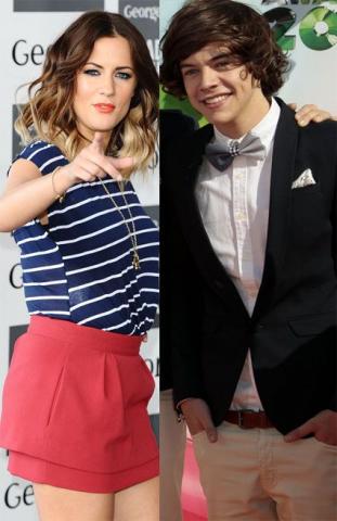 Harry Styles Girlfriend (GF) List and Know Whom He Has Dated Till Date - VRGyani News and Media
