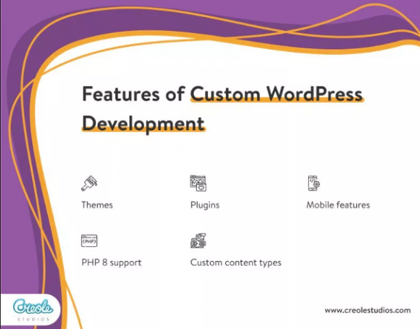 features-of-custom-wordpress-development