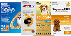 Christmas 2023 Sales - Flea & Tick Treatment for Dogs | Free Shipping*