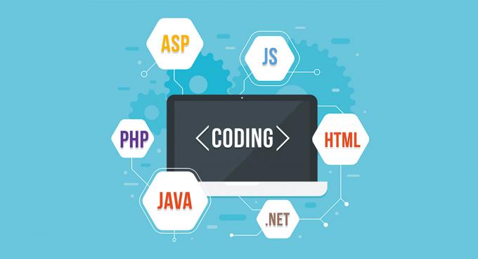 What is the difference between Full-Stack Developer and Dot NET Developer?