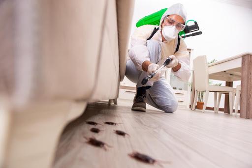 Pest Control Services in Chennai, Mosquito Netlon dealers, Safety Nets manufacturers in chennai, Sun Control Film suppliers in chennai