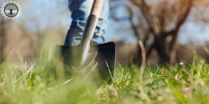 Garden Clearance | Garden Clearance near me