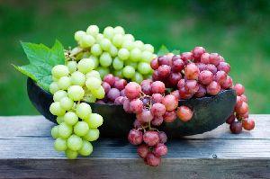 Browse Fresh Grapes Exporters and Suppliers Business Listings