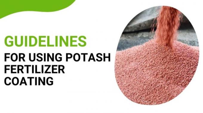 Guidelines For Using Potash Fertilizer Coating