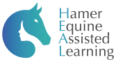 Equine Therapy in Victoria | Hamer Equine Assisted Learning