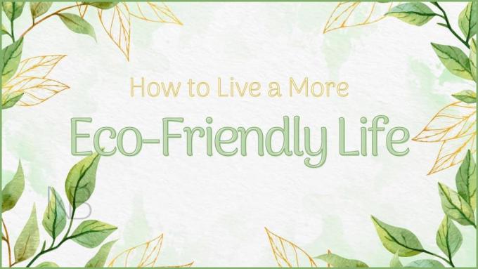 How to Start Living An Eco-Friendly Life