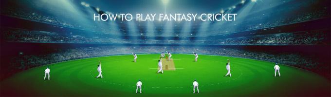 how to play cricket game