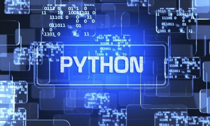 How Do I Start Web Development with Python?