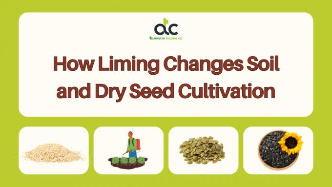 How Liming Changes Soil and Dry Seed Cultivation