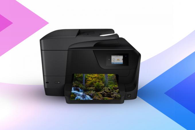 HP Wireless Printer