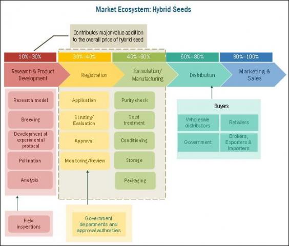 Global Hybrid Seeds Market -  Business Opportunities and Forecast to 2022