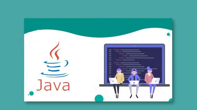 Is Java still popular today?