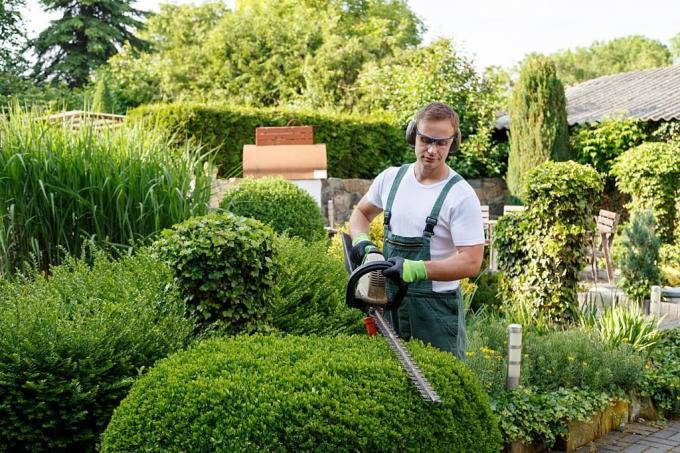 The Best Perks of a Landscape Company in Burnaby