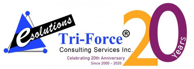 Tri-Force IT Consulting offering solutions to Government &amp; Commercial sectors