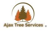 Tree Removal Service  | Tree Care Service | Pickering| Ajax | Whitby | Oshawa ON