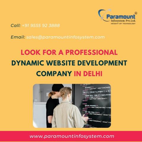 Look for a Professional Dynamic Website Development Company in Delhi