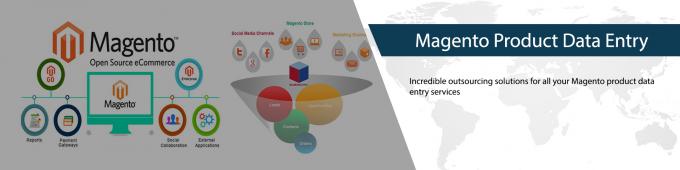 Magento Product Data Entry Services 