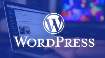 Best WordPress Support Services in USA- Connectiq