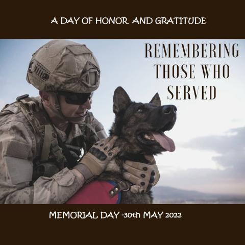 Memorial Day Saving 20% OFF on All Pet Supplies