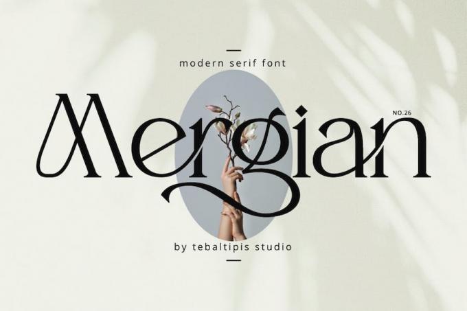 Mergian Font Free Download Similar | FreeFontify