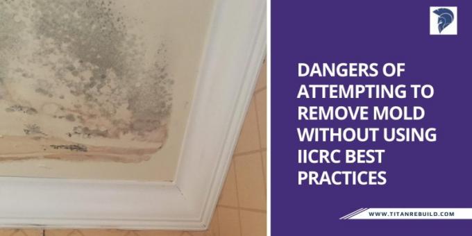 Dangers of Attempting to Remove Mold Without Using IICRC Best Practices - Titan Restoration Construction - West Palm Beach