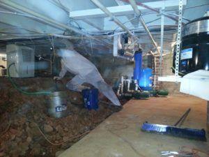 Crawl Space Encapsulation, Greenville SC | Array of Solutions