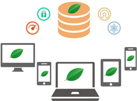 MongoDB database development Services in India