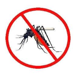 Mosquitoes Control Services in Chandigarh, Panchkula, Mohali, Zirakpur, Patiala, Ludhiana | 9888995920