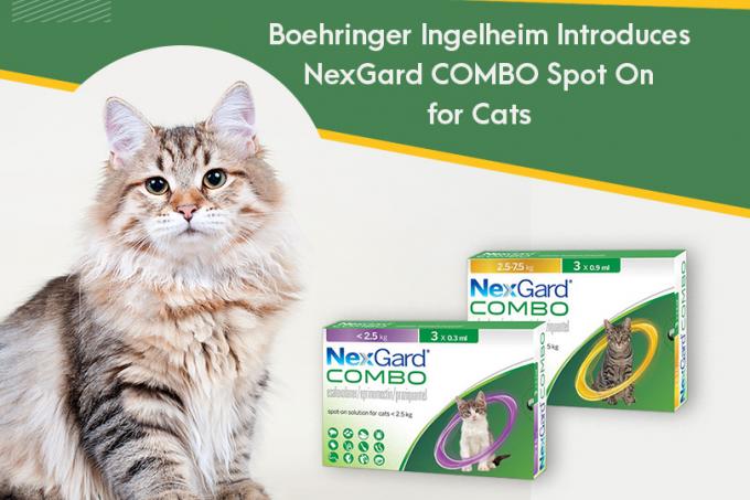 Boehringer Ingelheim Introduces NexGard COMBO Spot-On for Cats