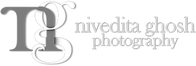 Exploring the Pre - Wedding Photographers in Bangalore 