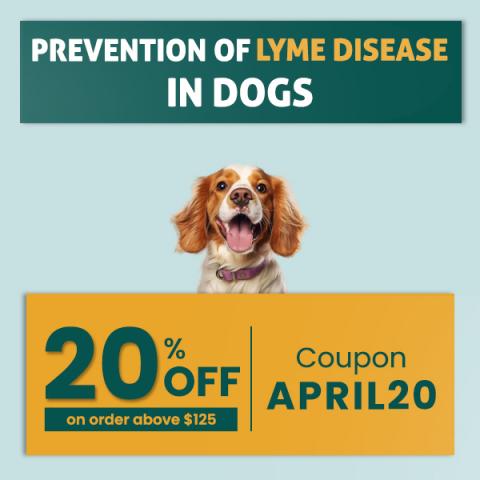 prevention of lyme disease in dogs month