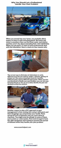 Pest Control Tucson