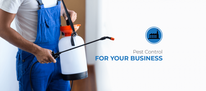 Pest Control For Homes And Businesses