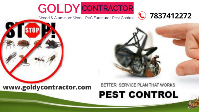 Pest Control Expert in Panchkula