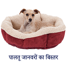 Pet Shop in Vijay Nagar | The Naughty Dogs | Healserv