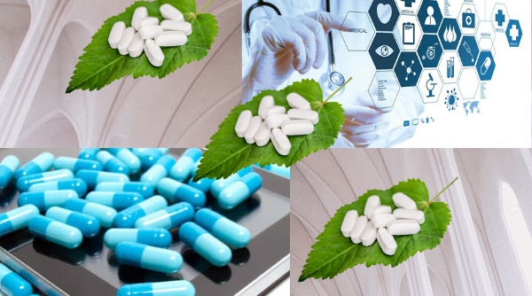 Know The Practical Opportunities With Digital Pharma Firms - Indian Product News