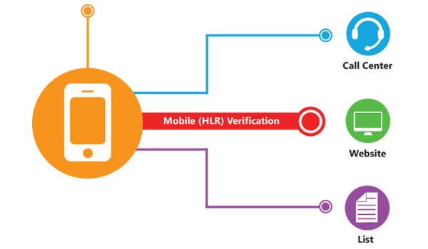 Phone Number Verification and Validation Service | Melissa SG 