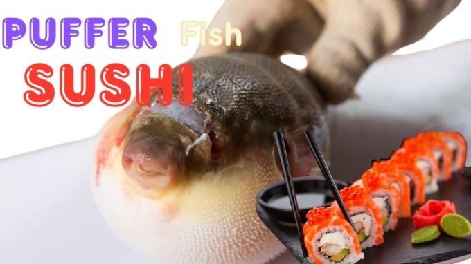 Puffer Fish Sushi Delight: A Culinary Adventure