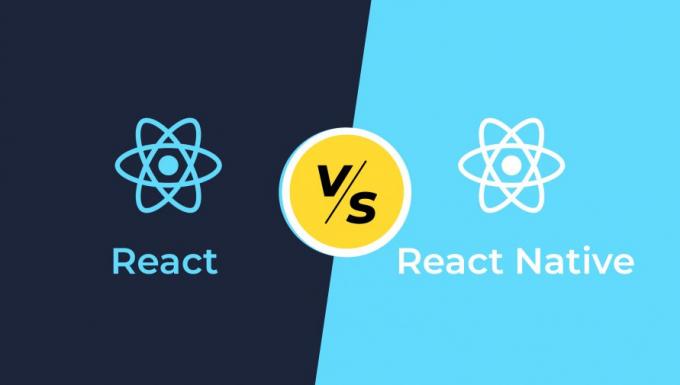 ReactJS or React Native