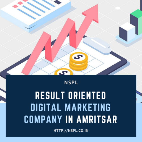 Result Oriented Digital Marketing Company in Amritsar