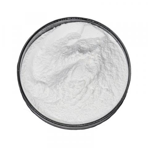 Resveratrol Powder Supplier
