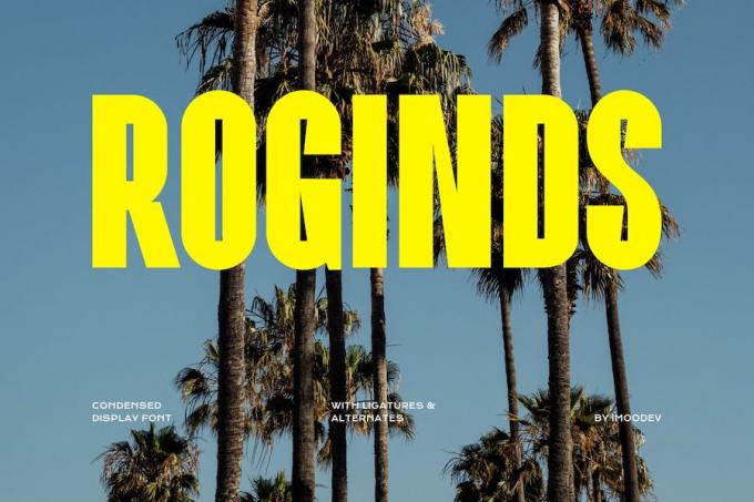 Roginds Font Free Download Similar | FreeFontify