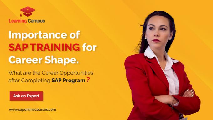 Why Should You Become An SAP Consultant?