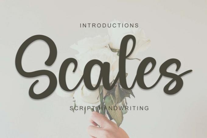 Scales Font Free Download OTF TTF | DLFreeFont