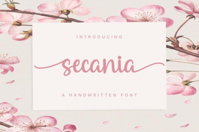 Secania Font Free Download OTF TTF | DLFreeFont