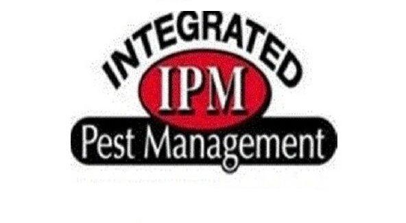 Residential Pest Control in South Jersey - IMG UP