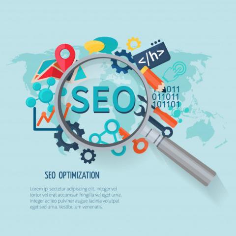 SEO Company in Delhi