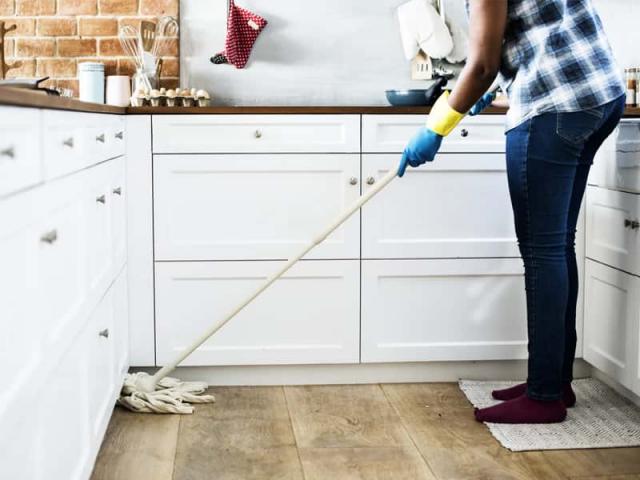 Bond Clean Gold Coast | Pest Control Gold Coast